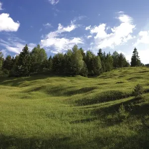 Buckelwiese, literally hummocky meadow
