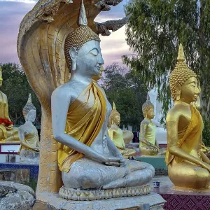 A Buddha with Naga statues at the Buddhist Cemetery