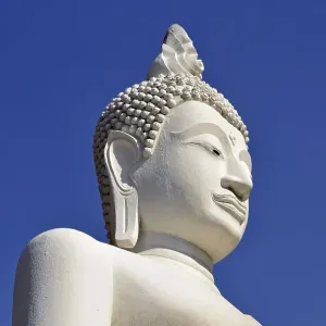 Buddha statue, Great Chedi Chaya Mongkol Buddha statue, Great Chedi Chaya Mongkol