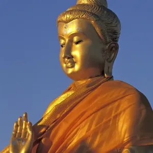 Buddha statue in the morning light