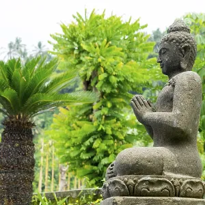 Buddha Statue Print, Sidemen, Bali, Indonesia