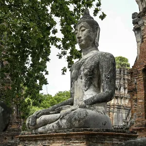 Buddha statue in Wat Mahathat Ayutthaya Buddha statue in Wat Mahathat Ayutthaya