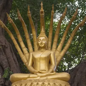 Buddha Statue, Wat Wisunalat, Luang Prabang Buddha Statue, Wat Wisunalat, Luang Prabang