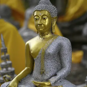Buddha statue in Wat Yai Chai Mongkhon