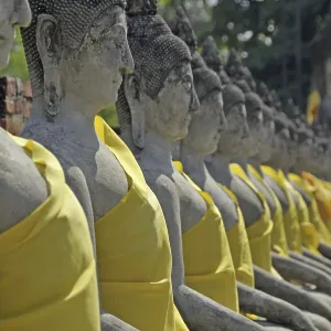 Buddha statues around the Great Chedi Chaya Mongkol