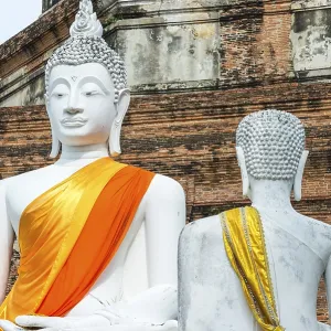 Buddha statues in front of the stupa at Wat Yai Chai Mongkhon Buddha statues in front of the stupa at Wat Yai Chai Mongkhon