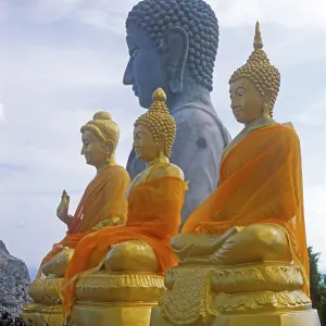 Buddha statues in the Wat Tam Sua monastery Buddha statues in the Wat Tam Sua monastery