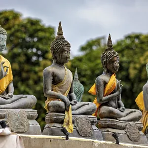 Several Buddha statues with yellow robes against a green backdrop Several Buddha statues with yellow robes against a green backdrop