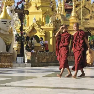 Buddhist monks, Shwedagon Pagoda Buddhist monks, Shwedagon Pagoda