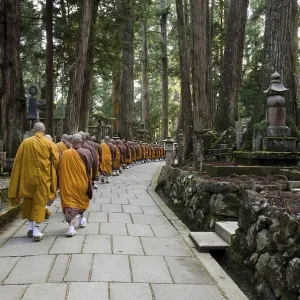 Buddhist monks walking to a temple in Koya-san Buddhist monks walking to a temple in Koya-san