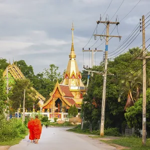 Buddhist monks walking back to the temple in the morning after recieive food offerings