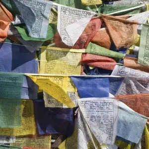 Buddhist prayer flags, Ladakh, Jammu and Kashmir