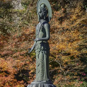 Buddhist statue in front of colorful autumn leaves