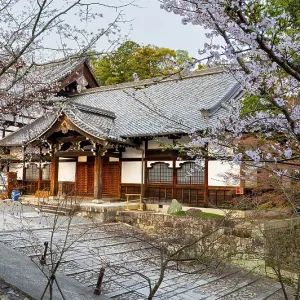 Buddhist temple and cherry blossom Buddhist temple and cherry blossom