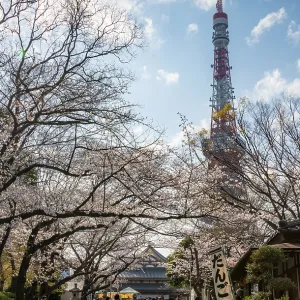 Buddhist temple complex Zojo-ji Temple and Tokyo Tower