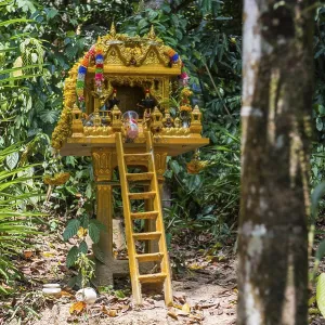 Buddhist temple in the rainforest Buddhist temple in the rainforest
