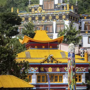 Buddhist temples in Rewalsar, Himachal Pradesh