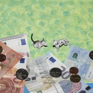 Bull terrier and Dalmatian miniature figure standing on green background with euro coins and notes Bull terrier and Dalmatian miniature figure standing on green background with euro coins and notes