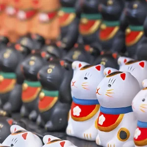 A bunch of aligned tiny