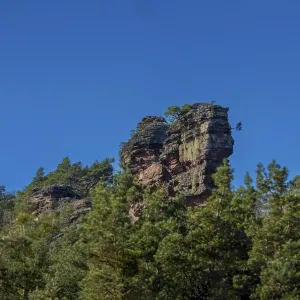 Burghalder rock overgrown with trees