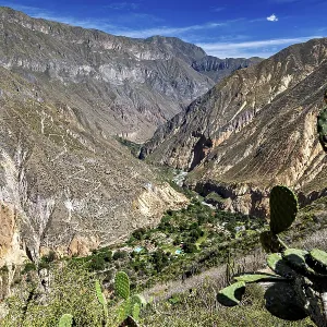 Colca Canyon Landscape Print, Peru