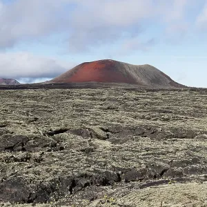 Caldera Colorada volcano, lava field with lichens