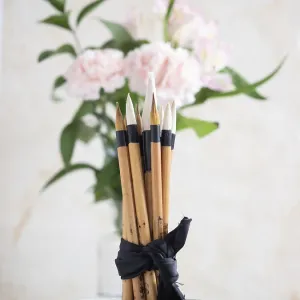Calligraphy brushes are tied with a black ribbon and placed in a ceramic bowl Calligraphy brushes are tied with a black ribbon and placed in a ceramic bowl