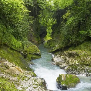 Calm flowing river through green forests and rocky surroundings Calm flowing river through green forests and rocky surroundings