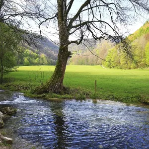 Un ruisseau calme traverse un pré vert avec des collines boisées en arrière-plan, Bad Urach, Allemagne.