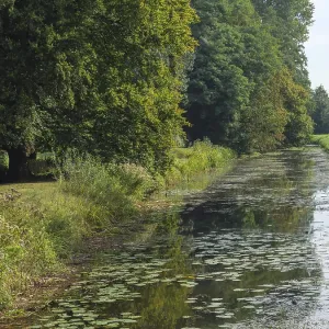 A calm river with water lilies A calm river with water lilies