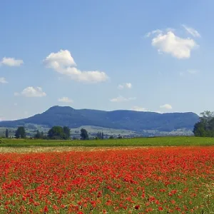 Canton of Schaffhausen, Switzerland