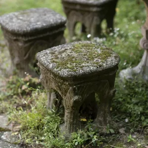 A captivating garden scene showcasing antique stone stools adorned with moss amidst lush greenery evoking a sense of A captivating garden scene showcasing antique stone stools adorned with moss amidst lush greenery evoking a sense of