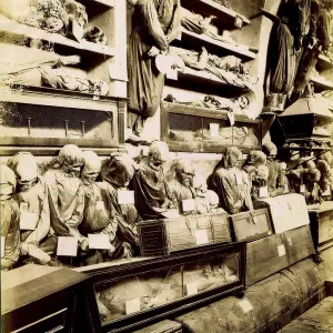 Capuchin Crypt, Le Catacombe dei Cappuccini