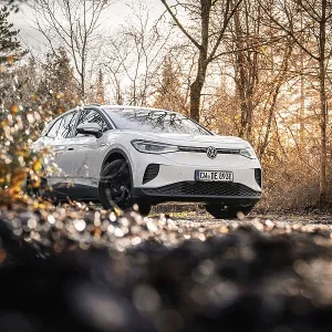 Car in an autumn forest landscape with bare trees