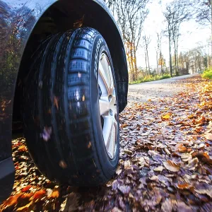 Car driving on a street covered with leaves