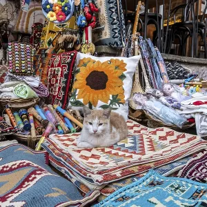 Cat between carpets and textiles in the bazaar of Gjirokaster