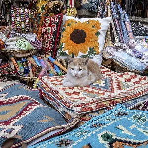 Cat resting on traditionally woven carpets in the bazaar of Gjirokaster