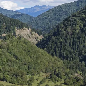 Caucasus Mountains near Lashtkhveri