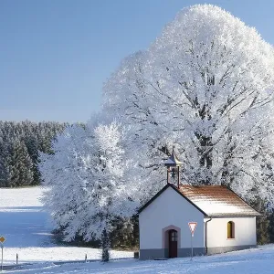 Chapel in front of tree in frost Chapel in front of tree in frost