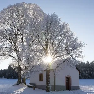 Chapel in front of tree in frost Chapel in front of tree in frost