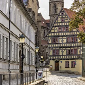 Charming old town with half-timbered houses and cobblestones under shady trees Charming old town with half-timbered houses and cobblestones under shady trees
