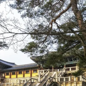 Cheongungyo and baegungyo in bulguksa temple taken during winter