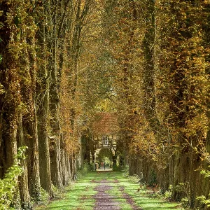 Chestnut avenue Chestnut avenue