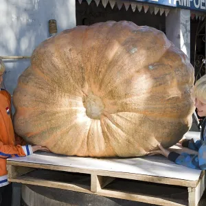 Children admire a giant pumpkin
