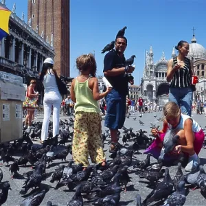 Children feeding pigeons, Palazzo Ducale Children feeding pigeons, Palazzo Ducale