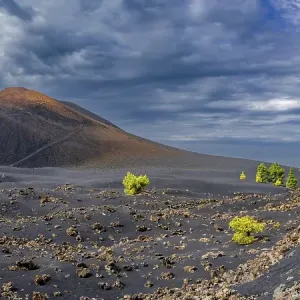 Chinyero volcano, Arena Negras zone Chinyero volcano, Arena Negras zone