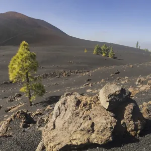Chinyero volcano, Arena Negras zone Chinyero volcano, Arena Negras zone