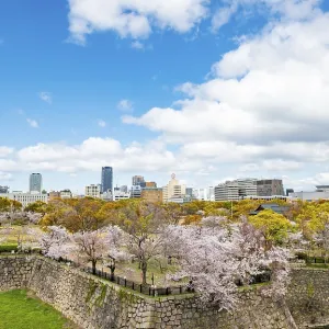 City view with skyscrapers and park on castle wall with cherry blossoms