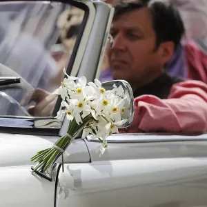 Classic car decorated with a bunch of daffodils Classic car decorated with a bunch of daffodils