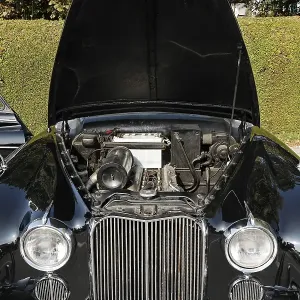 Classic Jaguar Mark VIII Print - Open Hood Classic Jaguar Mark VIII Print - Open Hood